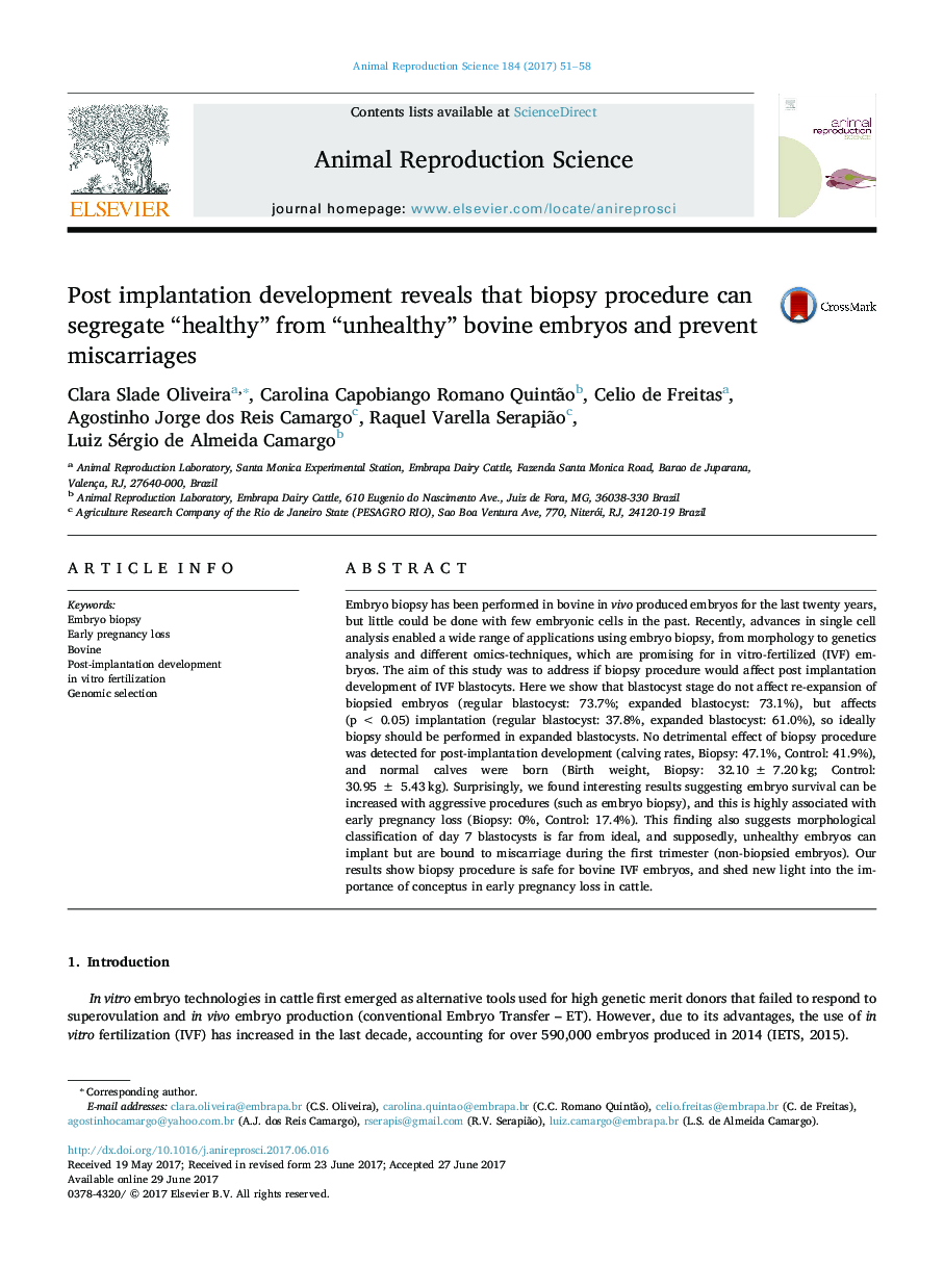 Post implantation development reveals that biopsy procedure can segregate “healthy” from “unhealthy” bovine embryos and prevent miscarriages