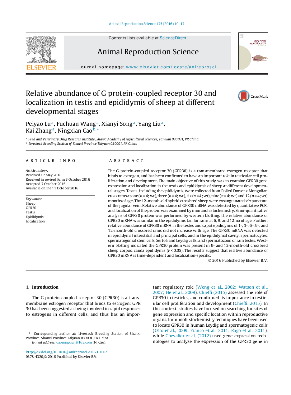 Relative abundance of G protein-coupled receptor 30 and localization in testis and epididymis of sheep at different developmental stages