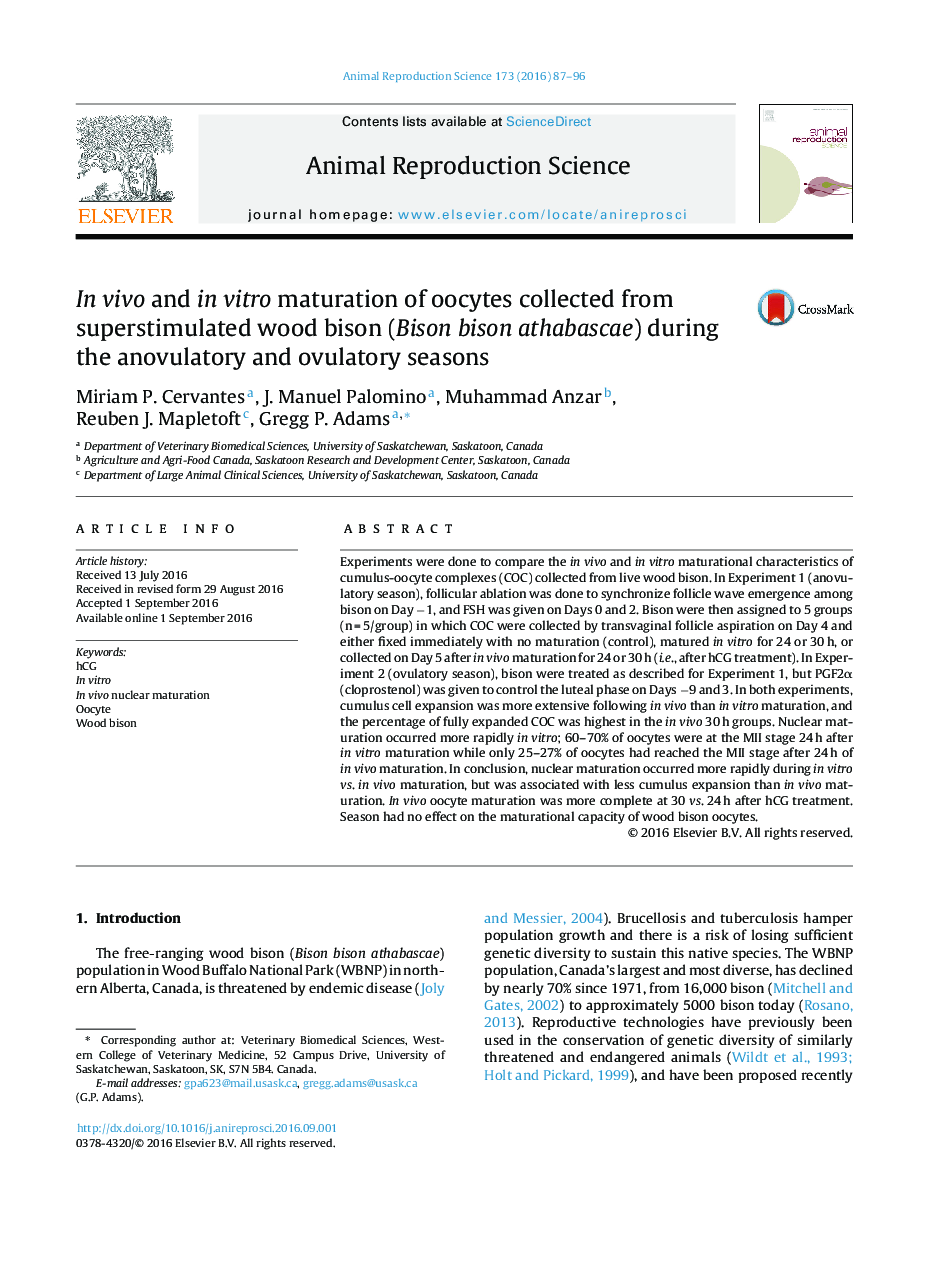 In vivo and in vitro maturation of oocytes collected from superstimulated wood bison (Bison bison athabascae) during the anovulatory and ovulatory seasons