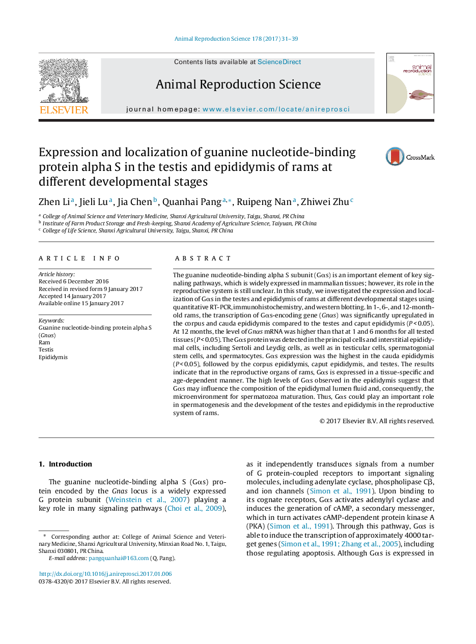 Expression and localization of guanine nucleotide-binding protein alpha S in the testis and epididymis of rams at different developmental stages