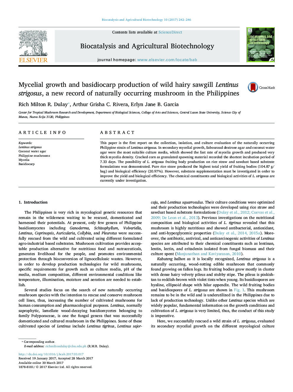 Mycelial growth and basidiocarp production of wild hairy sawgill Lentinus strigosus, a new record of naturally occurring mushroom in the Philippines