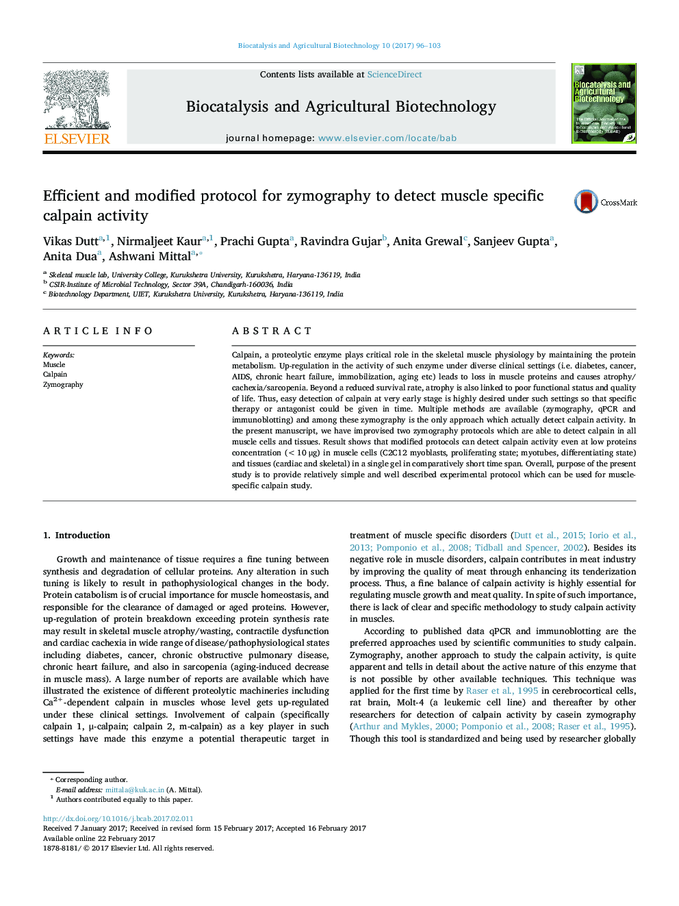 Efficient and modified protocol for zymography to detect muscle specific calpain activity