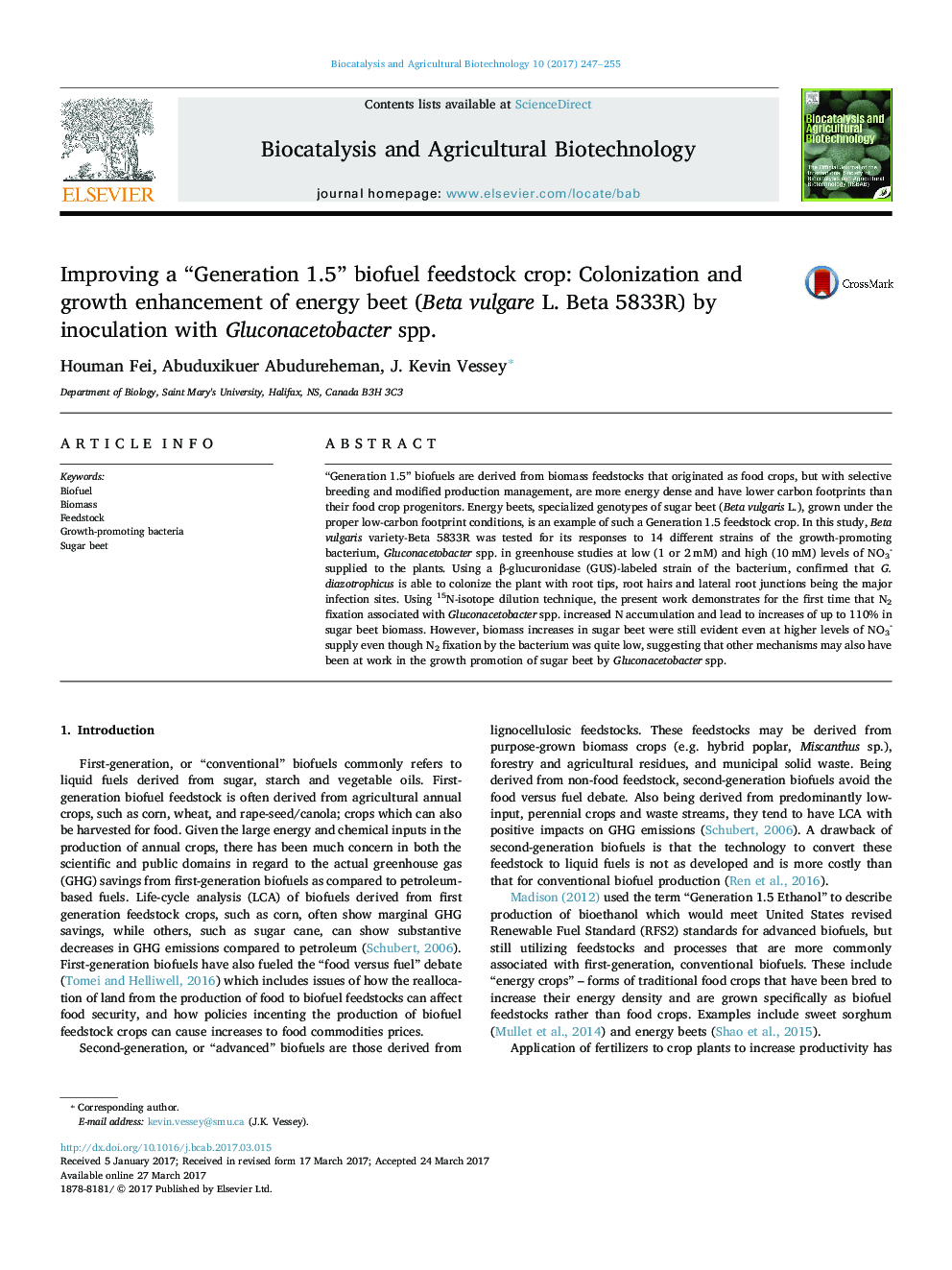 Improving a “Generation 1.5” biofuel feedstock crop: Colonization and growth enhancement of energy beet (Beta vulgare L. Beta 5833R) by inoculation with Gluconacetobacter spp.