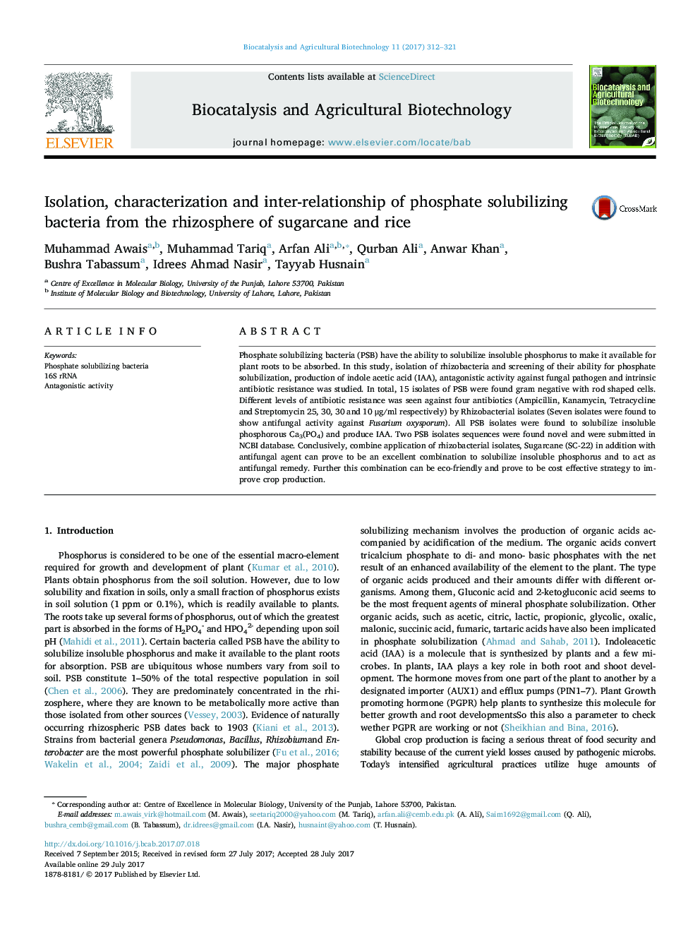 Isolation, characterization and inter-relationship of phosphate solubilizing bacteria from the rhizosphere of sugarcane and rice