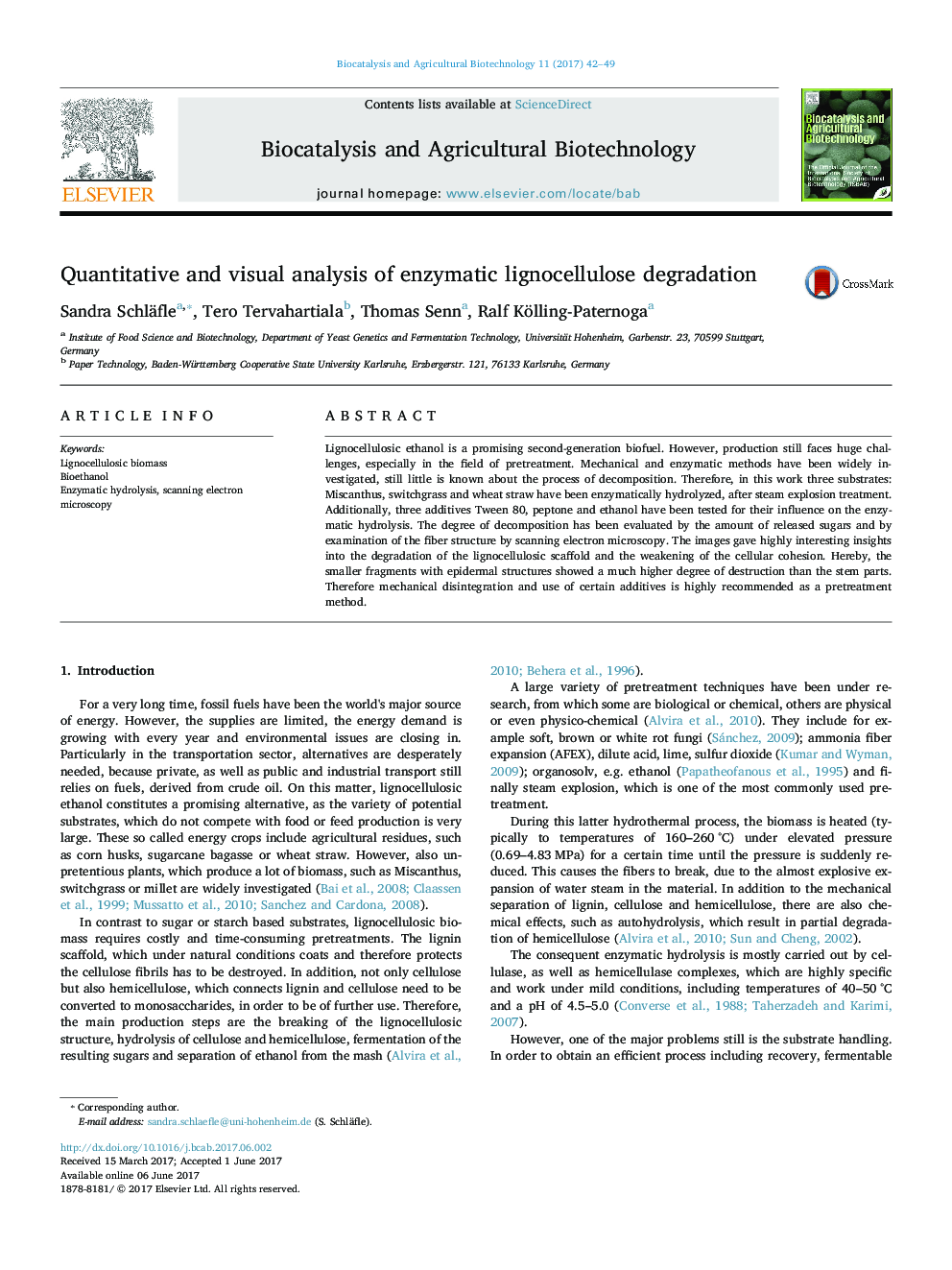 Quantitative and visual analysis of enzymatic lignocellulose degradation