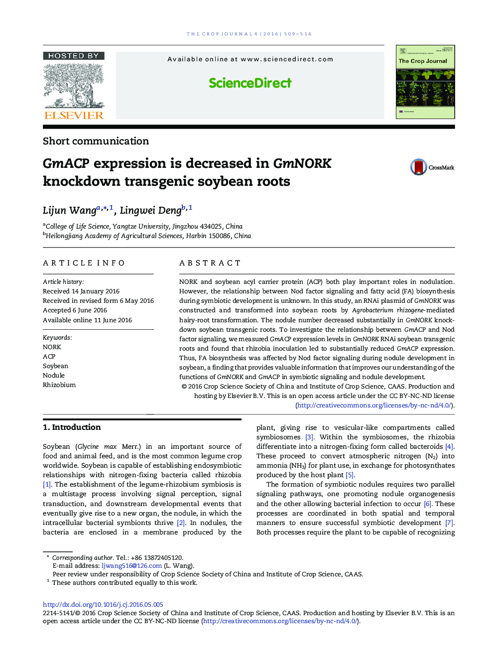 GmACP expression is decreased in GmNORK knockdown transgenic soybean roots