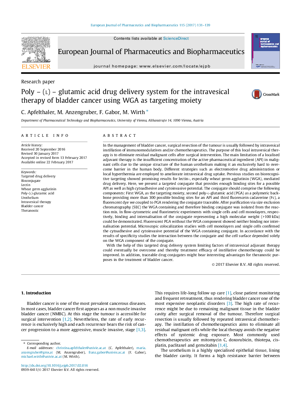 Research paperPoly - (l) - glutamic acid drug delivery system for the intravesical therapy of bladder cancer using WGA as targeting moiety