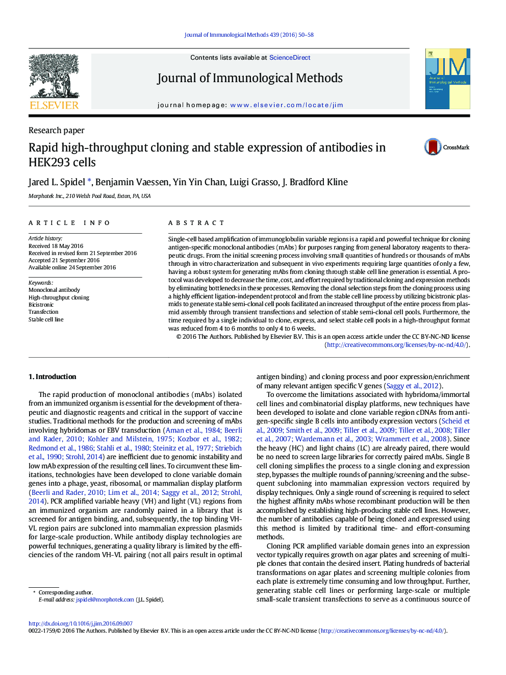 Rapid high-throughput cloning and stable expression of antibodies in HEK293 cells