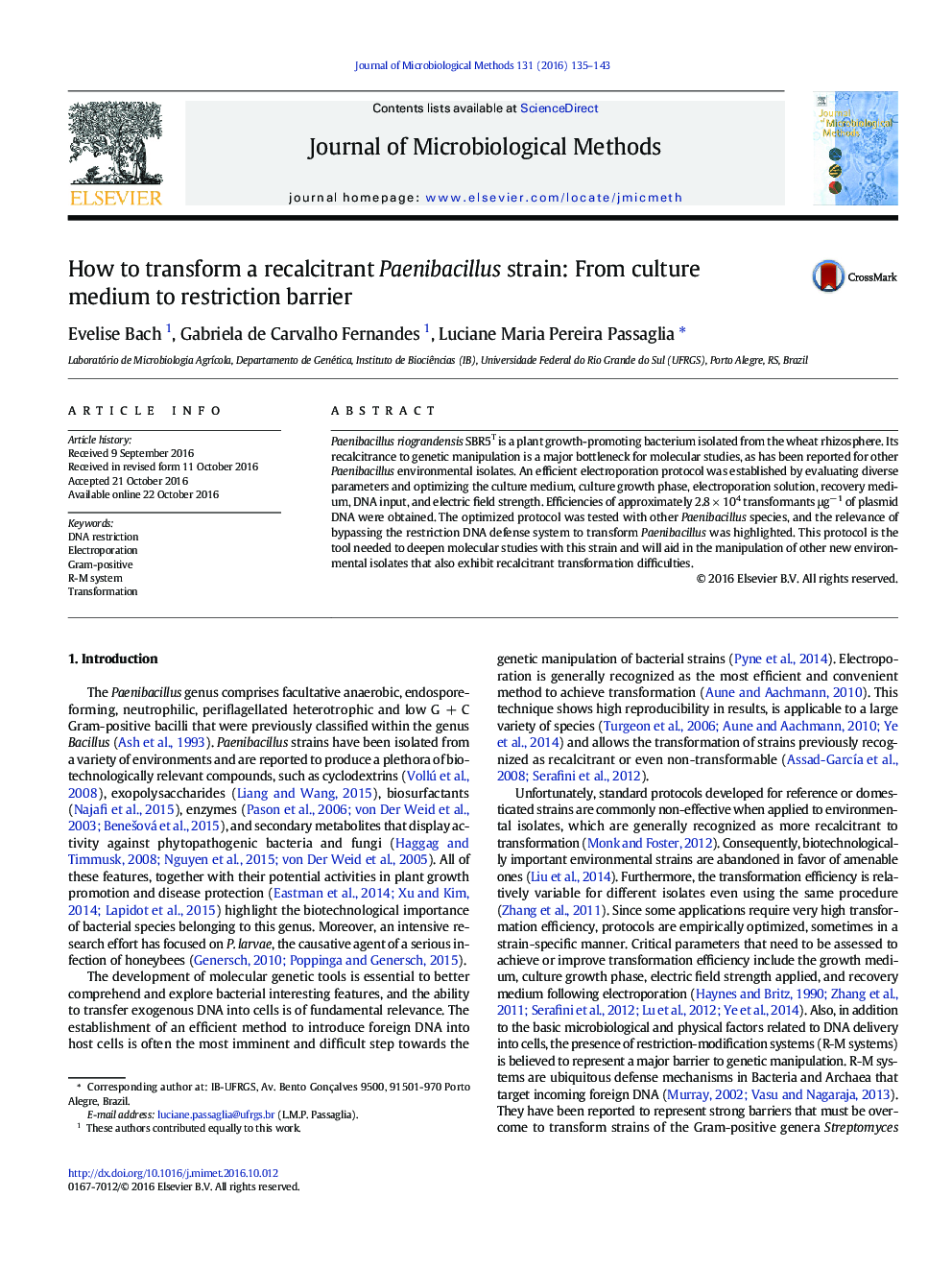 How to transform a recalcitrant Paenibacillus strain: From culture medium to restriction barrier