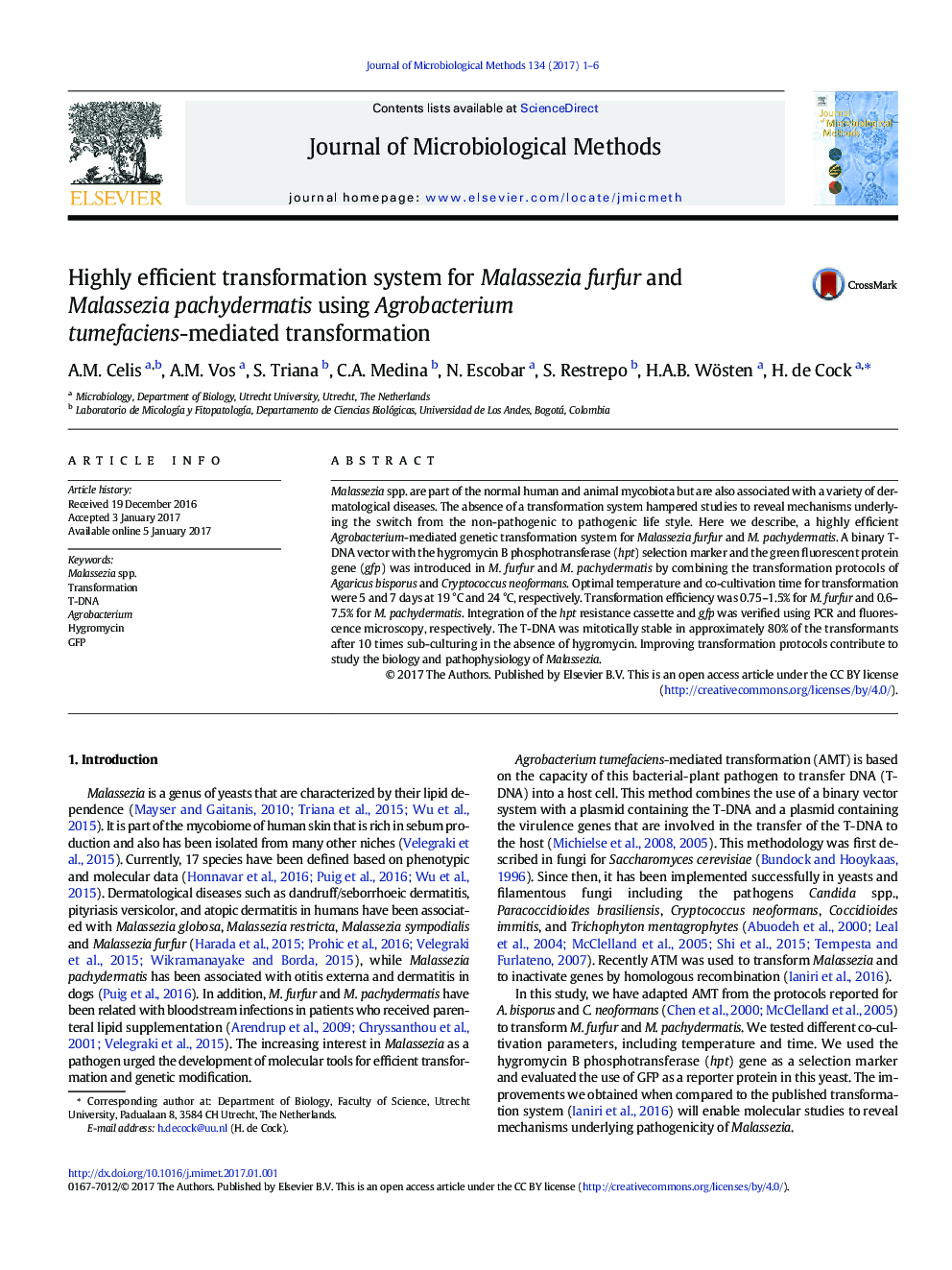 Highly efficient transformation system for Malassezia furfur and Malassezia pachydermatis using Agrobacterium tumefaciens-mediated transformation