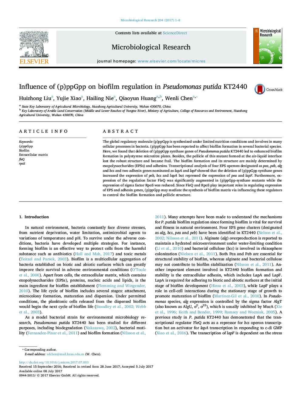 Influence of (p)ppGpp on biofilm regulation in Pseudomonas putida KT2440