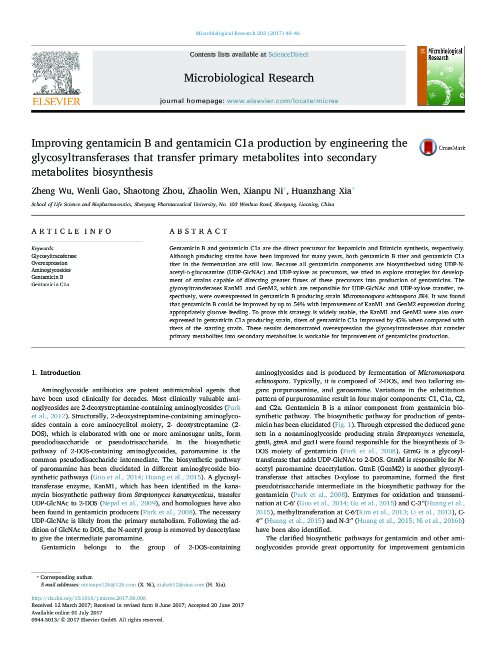 Improving gentamicin B and gentamicin C1a production by engineering the glycosyltransferases that transfer primary metabolites into secondary metabolites biosynthesis