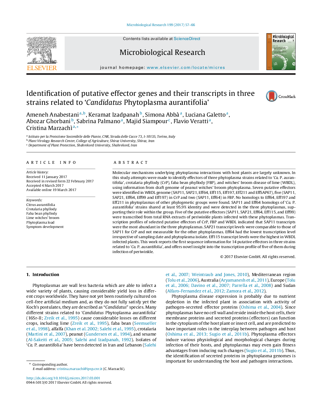 Identification of putative effector genes and their transcripts in three strains related to 'Candidatus Phytoplasma aurantifolia'