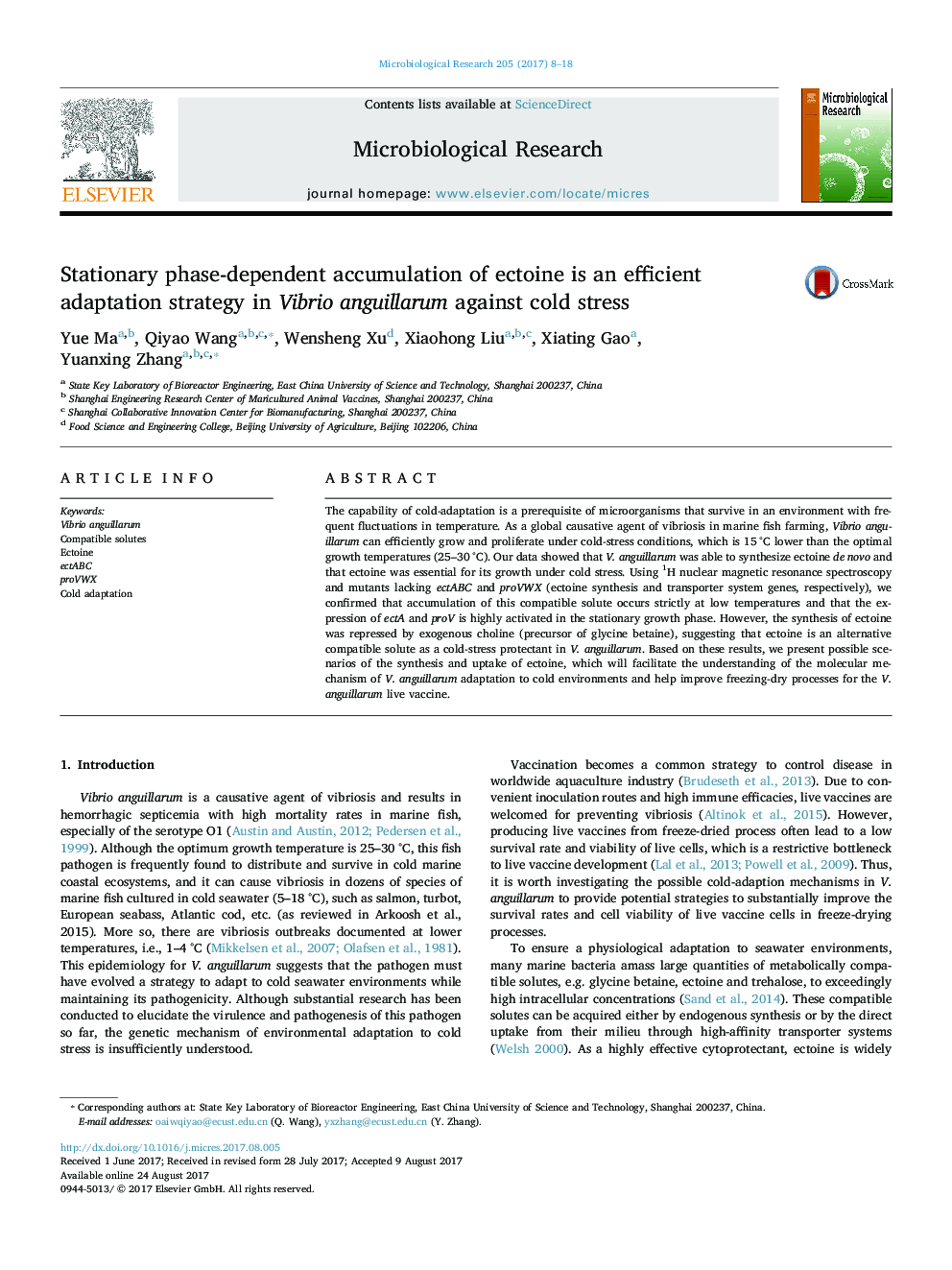 Stationary phase-dependent accumulation of ectoine is an efficient adaptation strategy in Vibrio anguillarum against cold stress