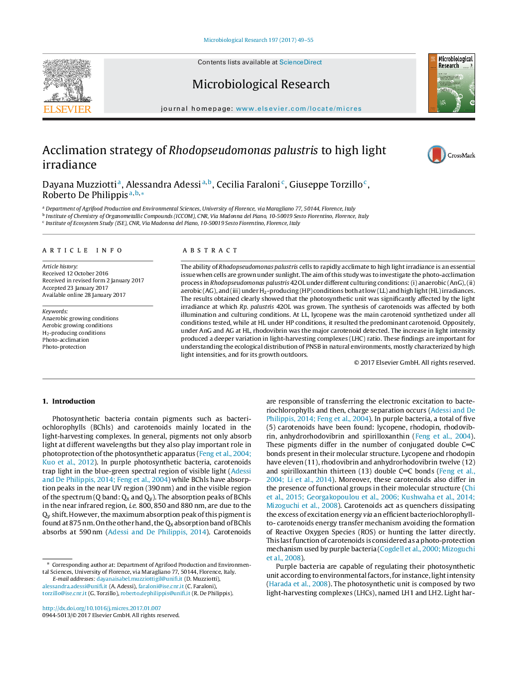 Acclimation strategy of Rhodopseudomonas palustris to high light irradiance