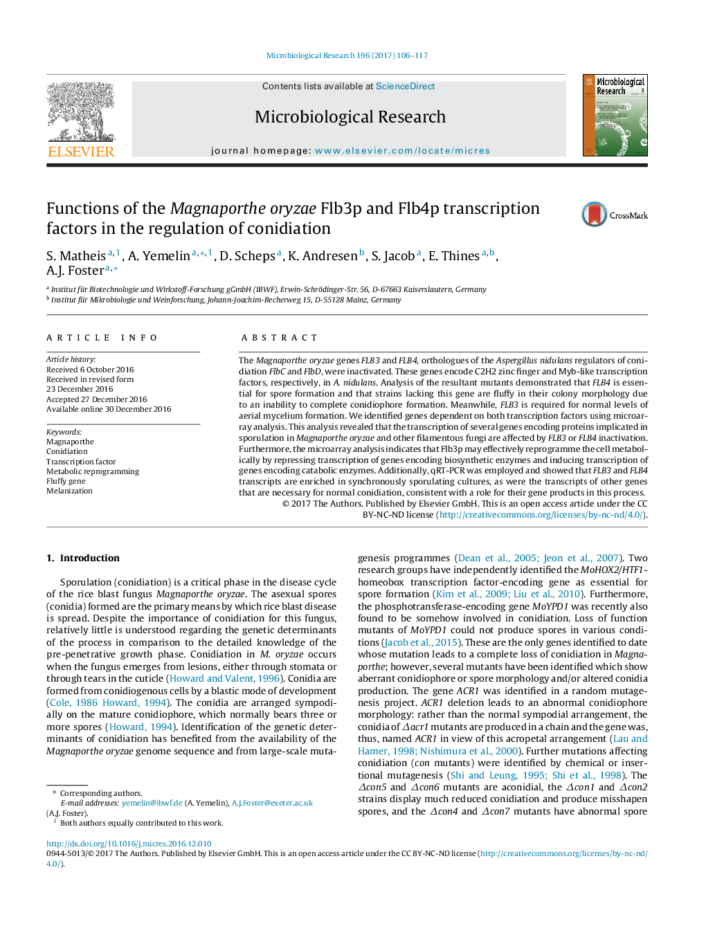 Functions of the Magnaporthe oryzae Flb3p and Flb4p transcription factors in the regulation of conidiation