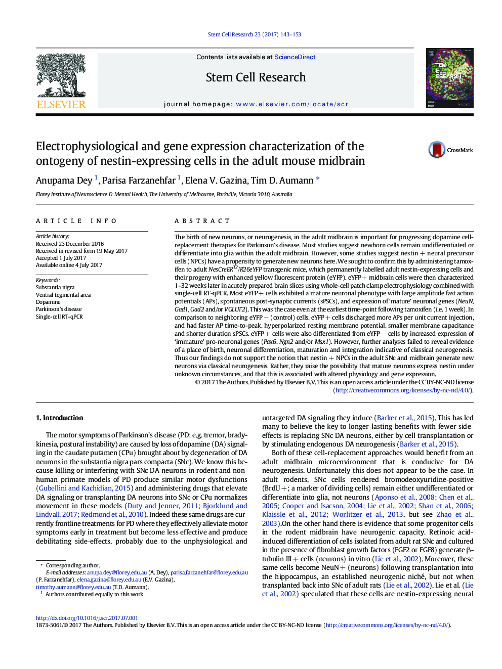 Electrophysiological and gene expression characterization of the ontogeny of nestin-expressing cells in the adult mouse midbrain