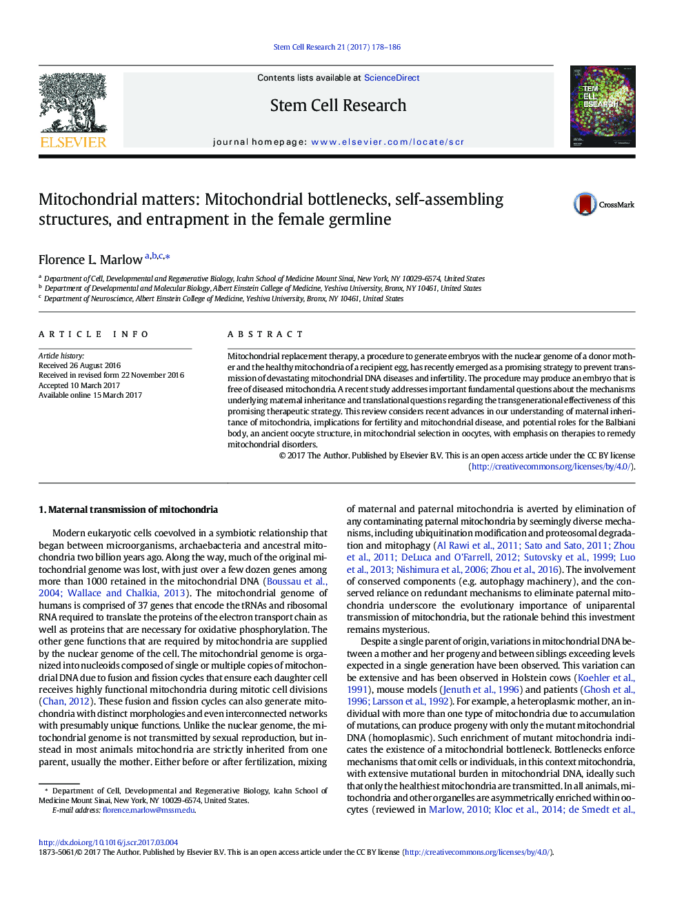 Mitochondrial matters: Mitochondrial bottlenecks, self-assembling structures, and entrapment in the female germline