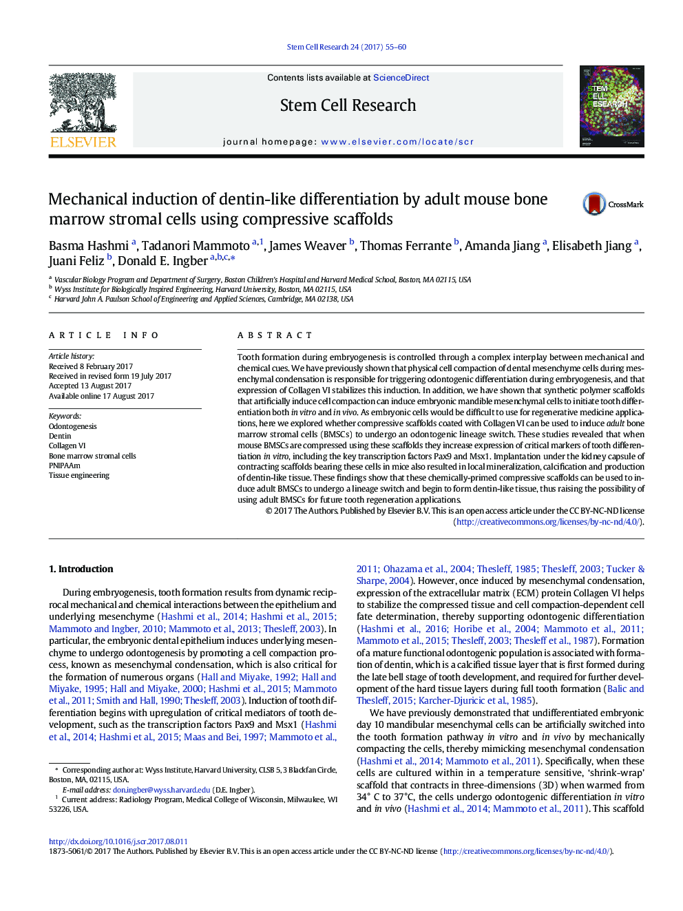 Mechanical induction of dentin-like differentiation by adult mouse bone marrow stromal cells using compressive scaffolds