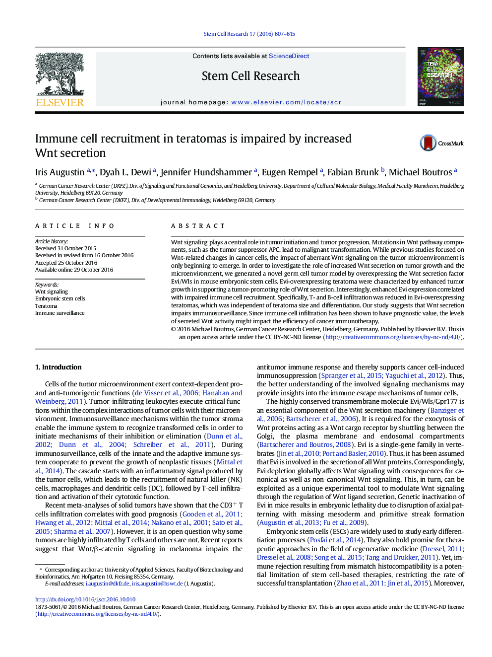 Immune cell recruitment in teratomas is impaired by increased Wnt secretion