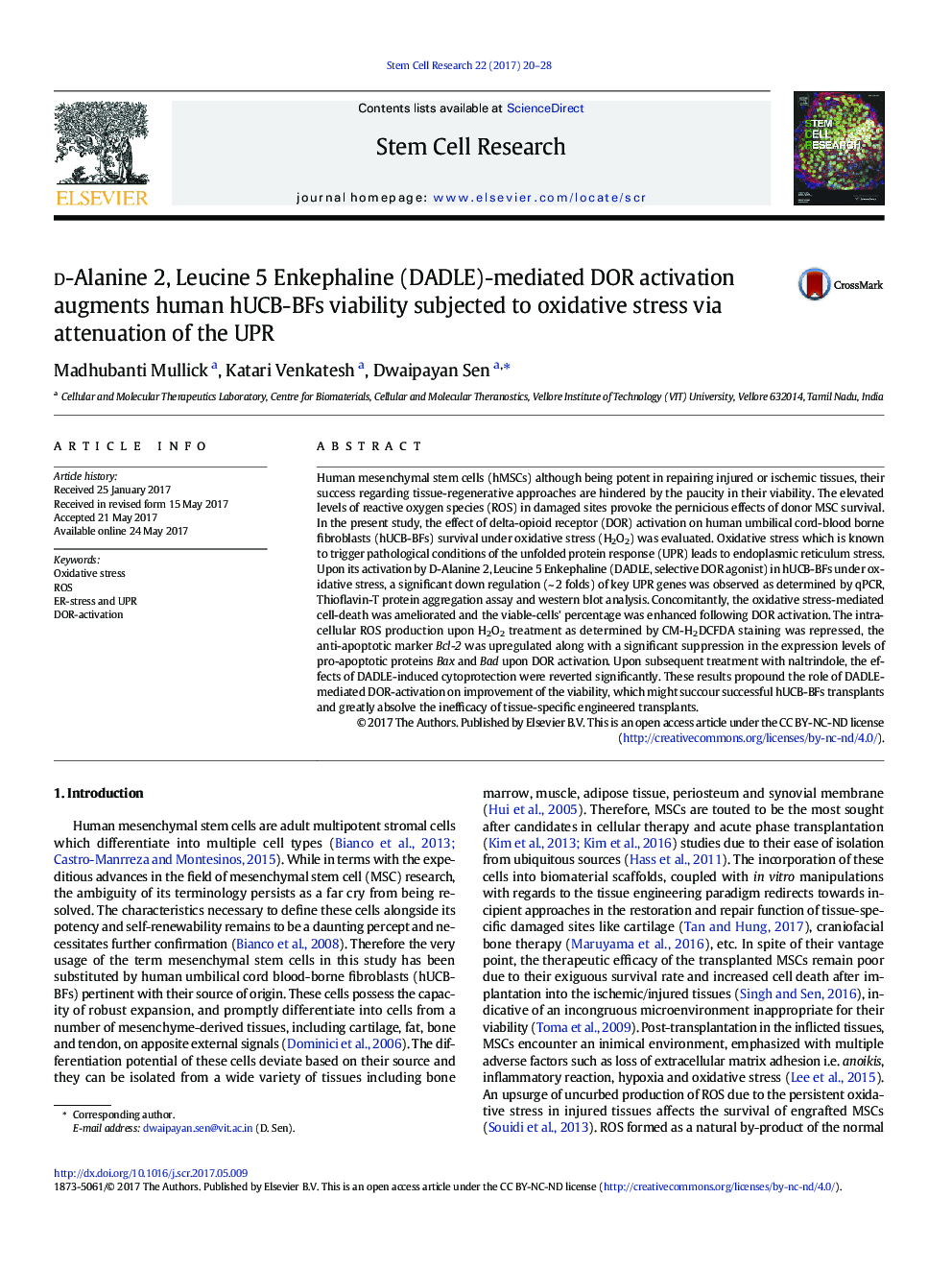 d-Alanine 2, Leucine 5 Enkephaline (DADLE)-mediated DOR activation augments human hUCB-BFs viability subjected to oxidative stress via attenuation of the UPR