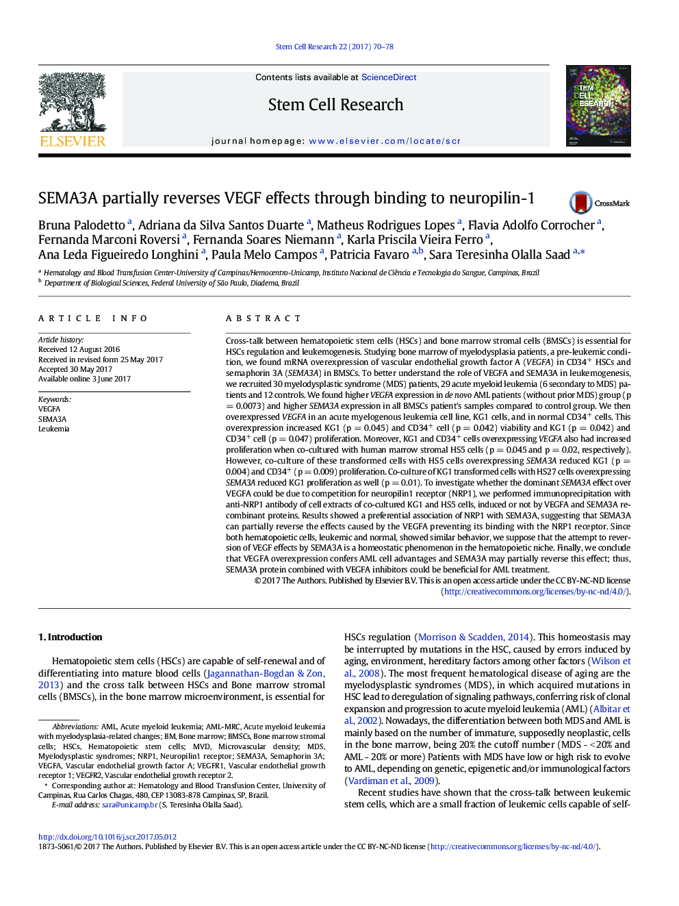 SEMA3A partially reverses VEGF effects through binding to neuropilin-1
