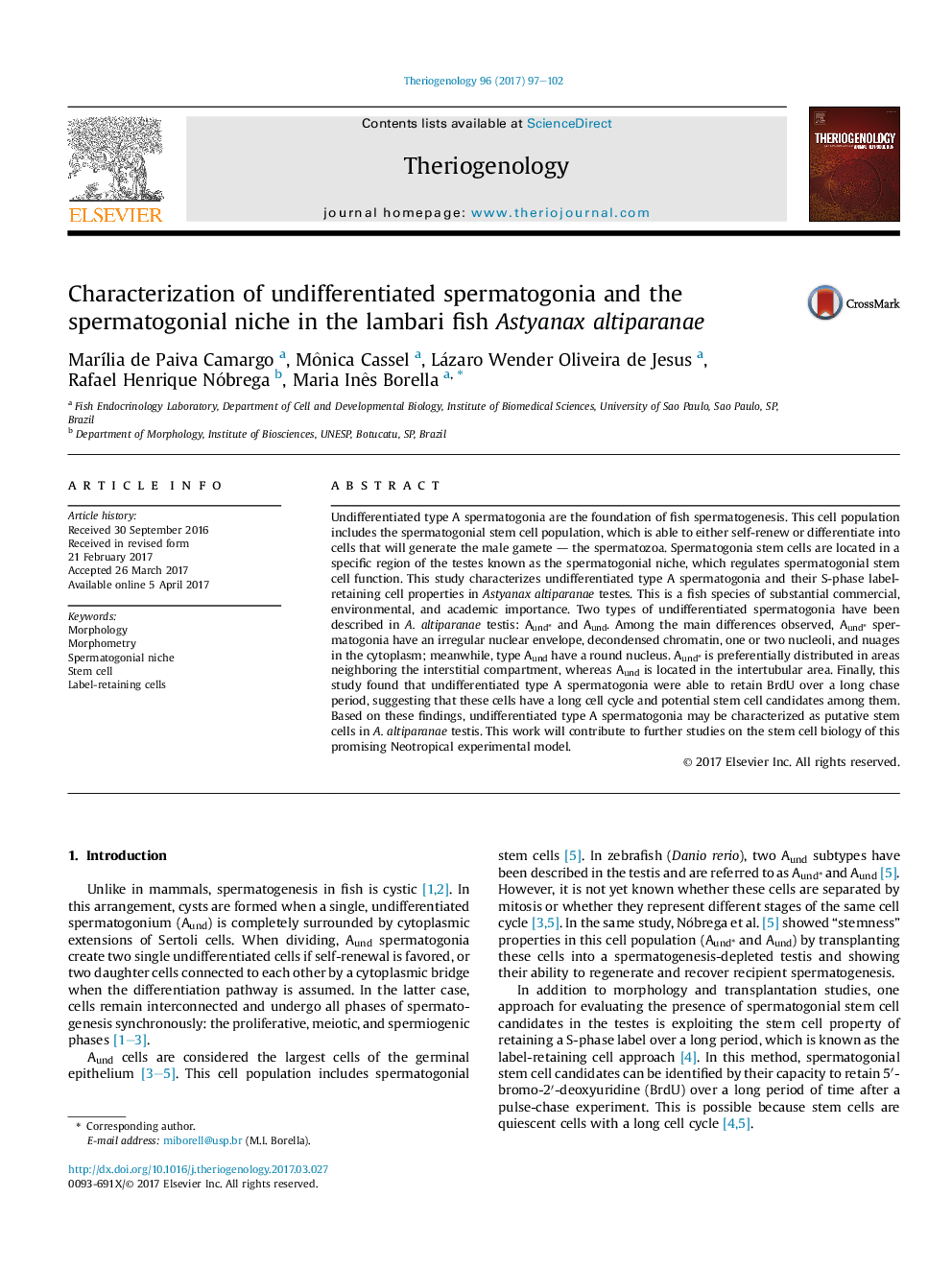 Characterization of undifferentiated spermatogonia and the spermatogonial niche in the lambari fish Astyanax altiparanae