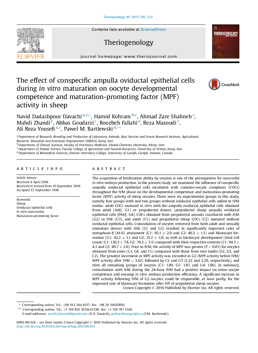 Research articleThe effect of conspecific ampulla oviductal epithelial cells during inÂ vitro maturation on oocyte developmental competence and maturation-promoting factor (MPF) activity in sheep