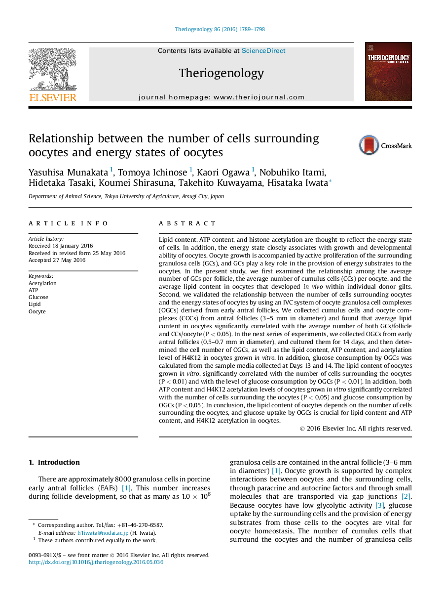 Research articleRelationship between the number of cells surrounding oocytes and energy states of oocytes