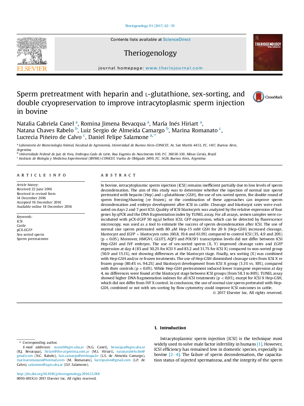 Sperm pretreatment with heparin and l-glutathione, sex-sorting, and double cryopreservation to improve intracytoplasmic sperm injection in bovine