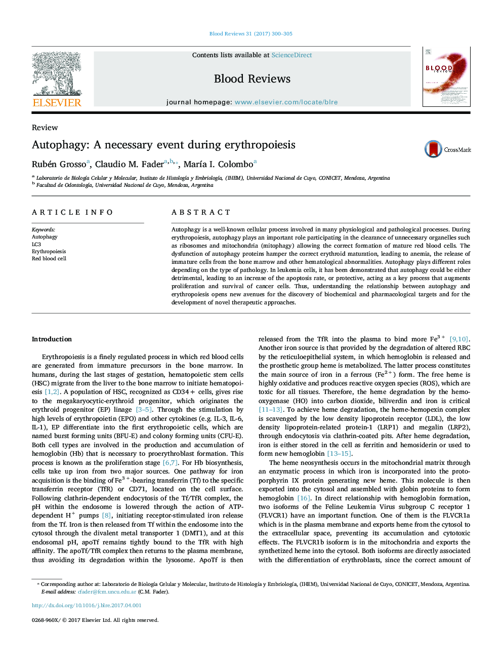 ReviewAutophagy: A necessary event during erythropoiesis