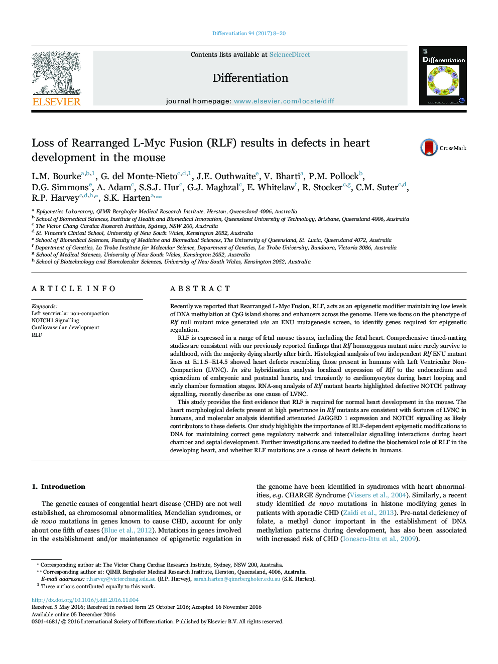 Loss of Rearranged L-Myc Fusion (RLF) results in defects in heart development in the mouse