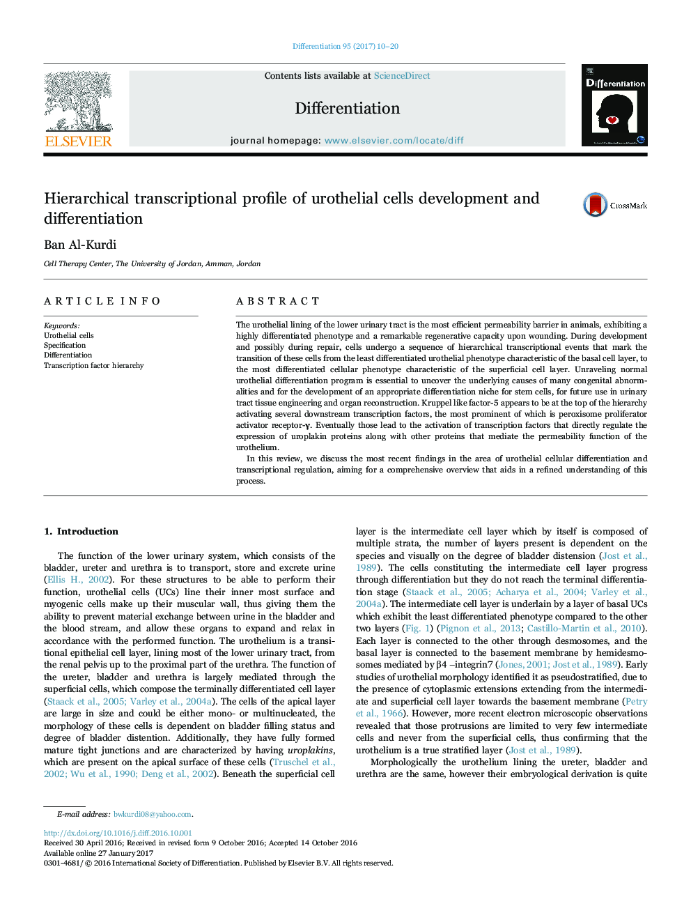 Hierarchical transcriptional profile of urothelial cells development and differentiation