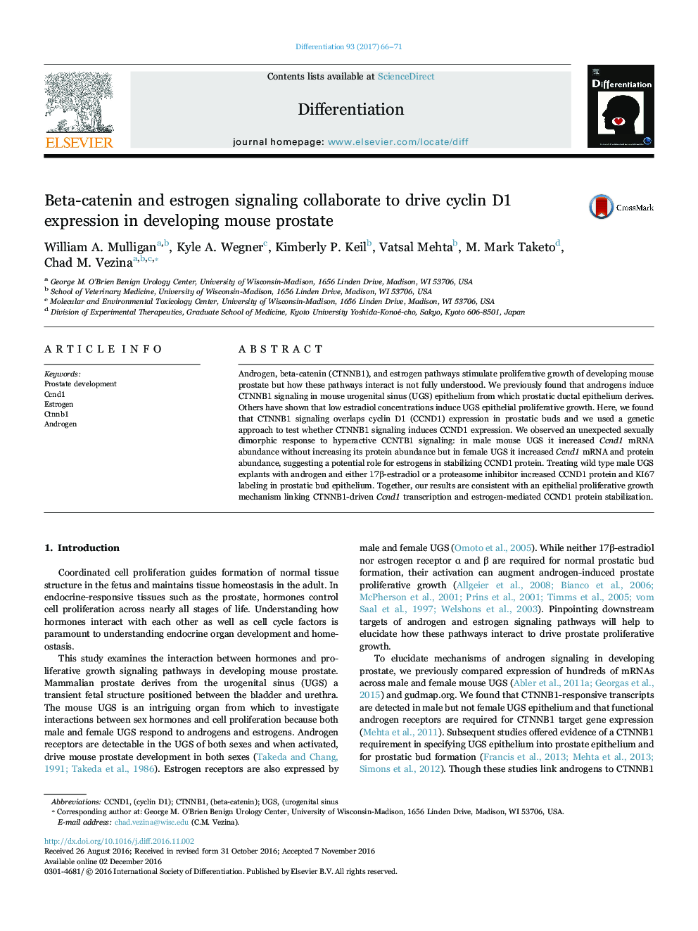 Beta-catenin and estrogen signaling collaborate to drive cyclin D1 expression in developing mouse prostate