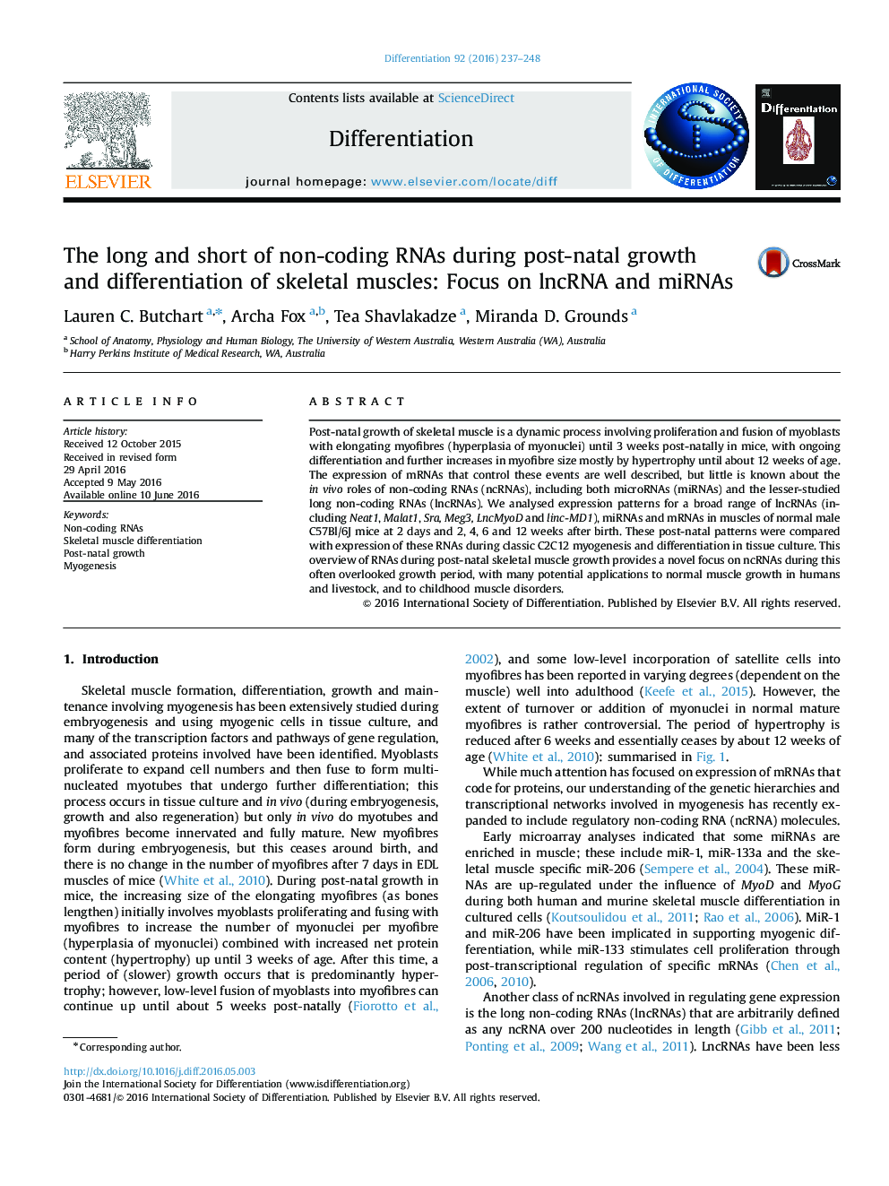 The long and short of non-coding RNAs during post-natal growth and differentiation of skeletal muscles: Focus on lncRNA and miRNAs