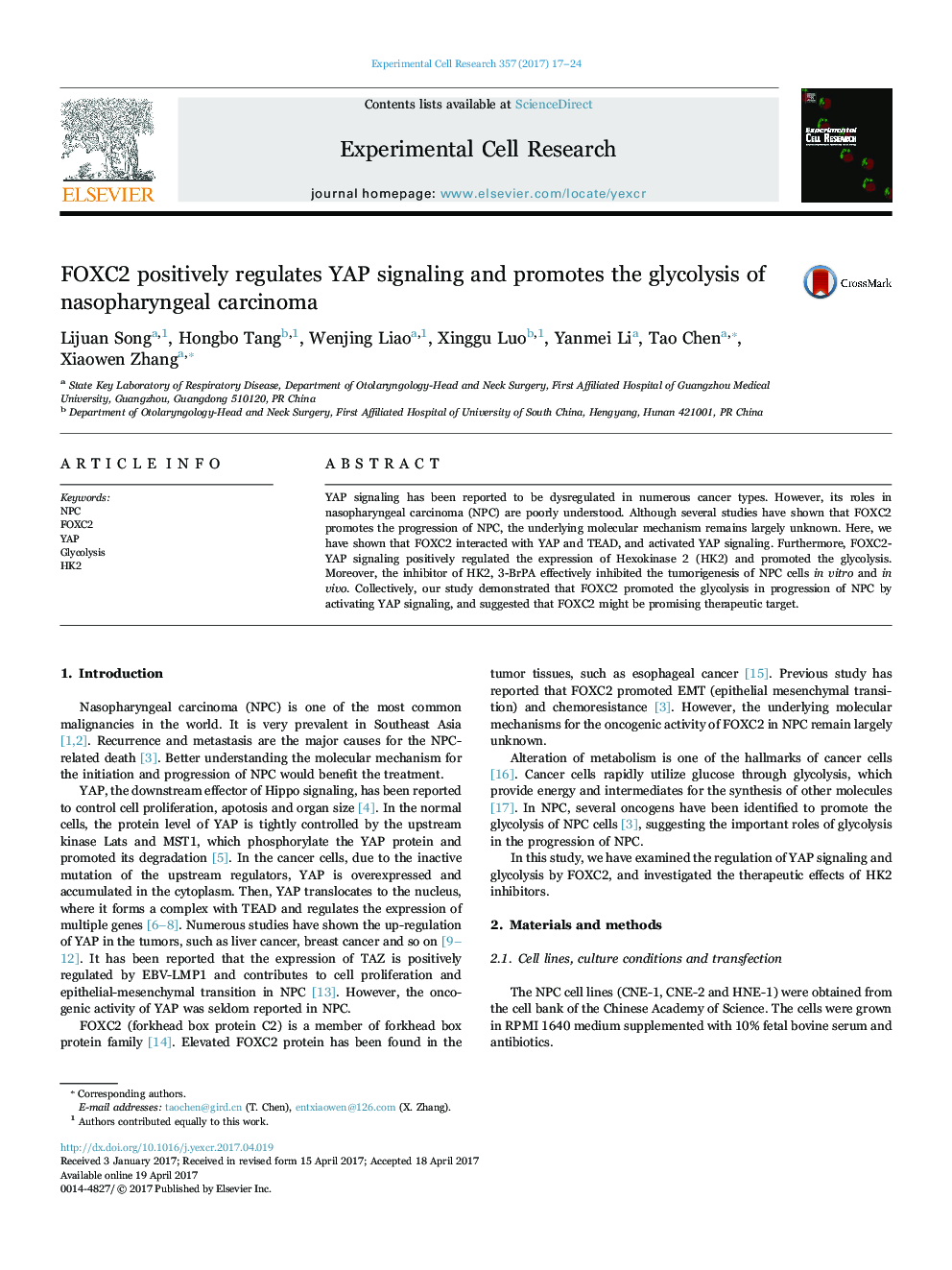 FOXC2 positively regulates YAP signaling and promotes the glycolysis of nasopharyngeal carcinoma