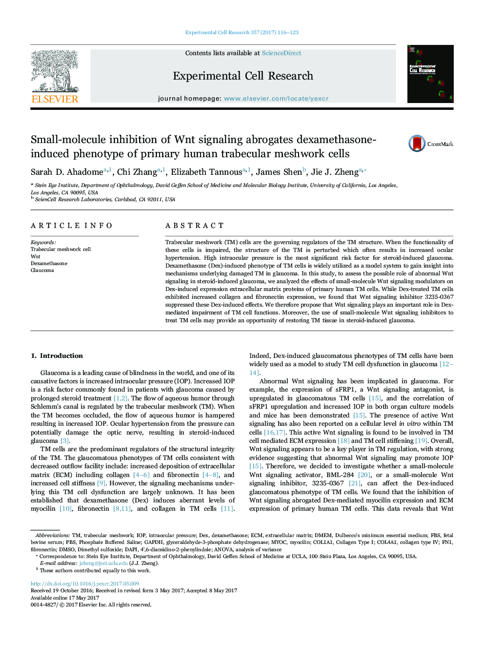 Small-molecule inhibition of Wnt signaling abrogates dexamethasone-induced phenotype of primary human trabecular meshwork cells