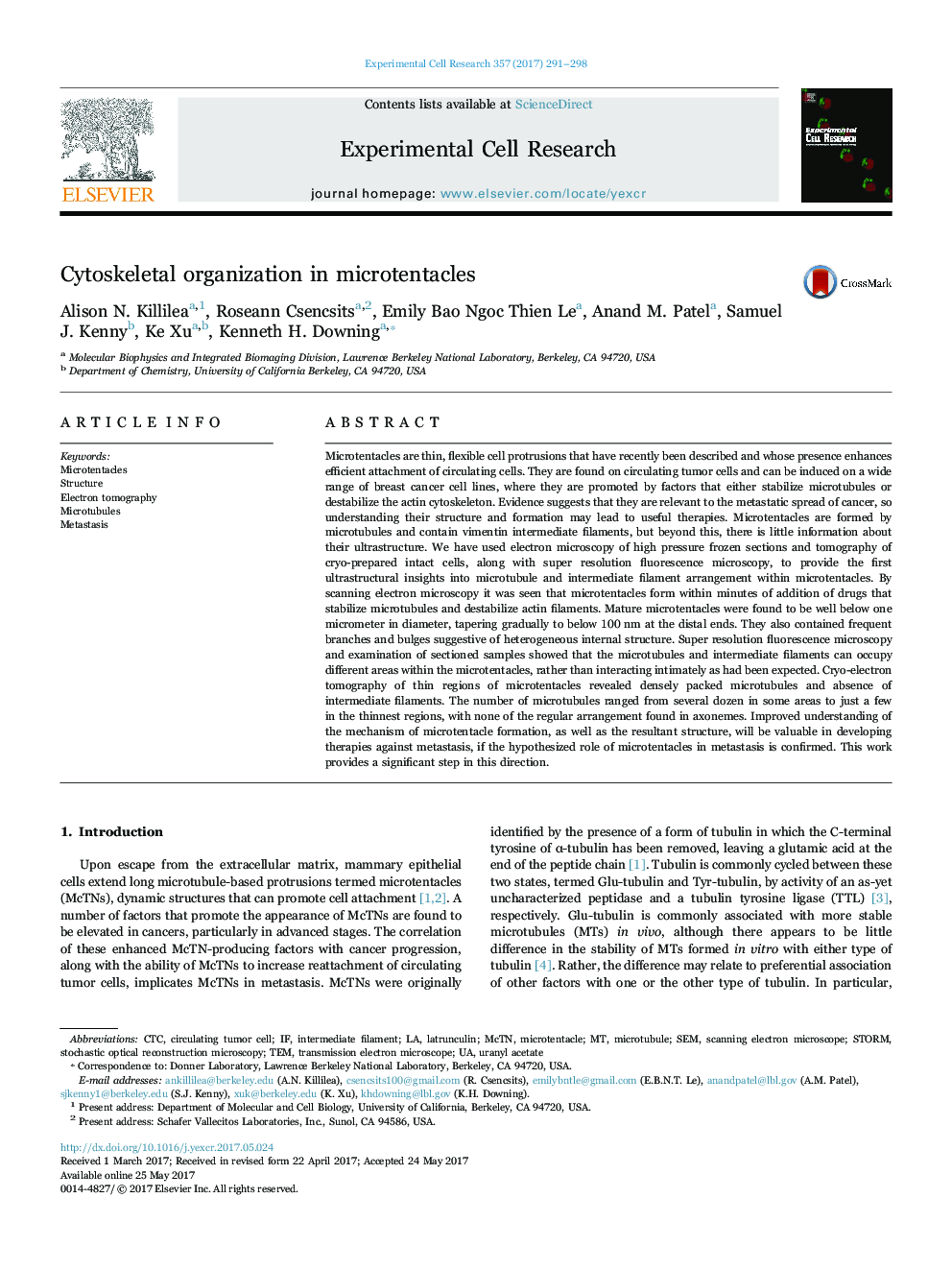 Cytoskeletal organization in microtentacles