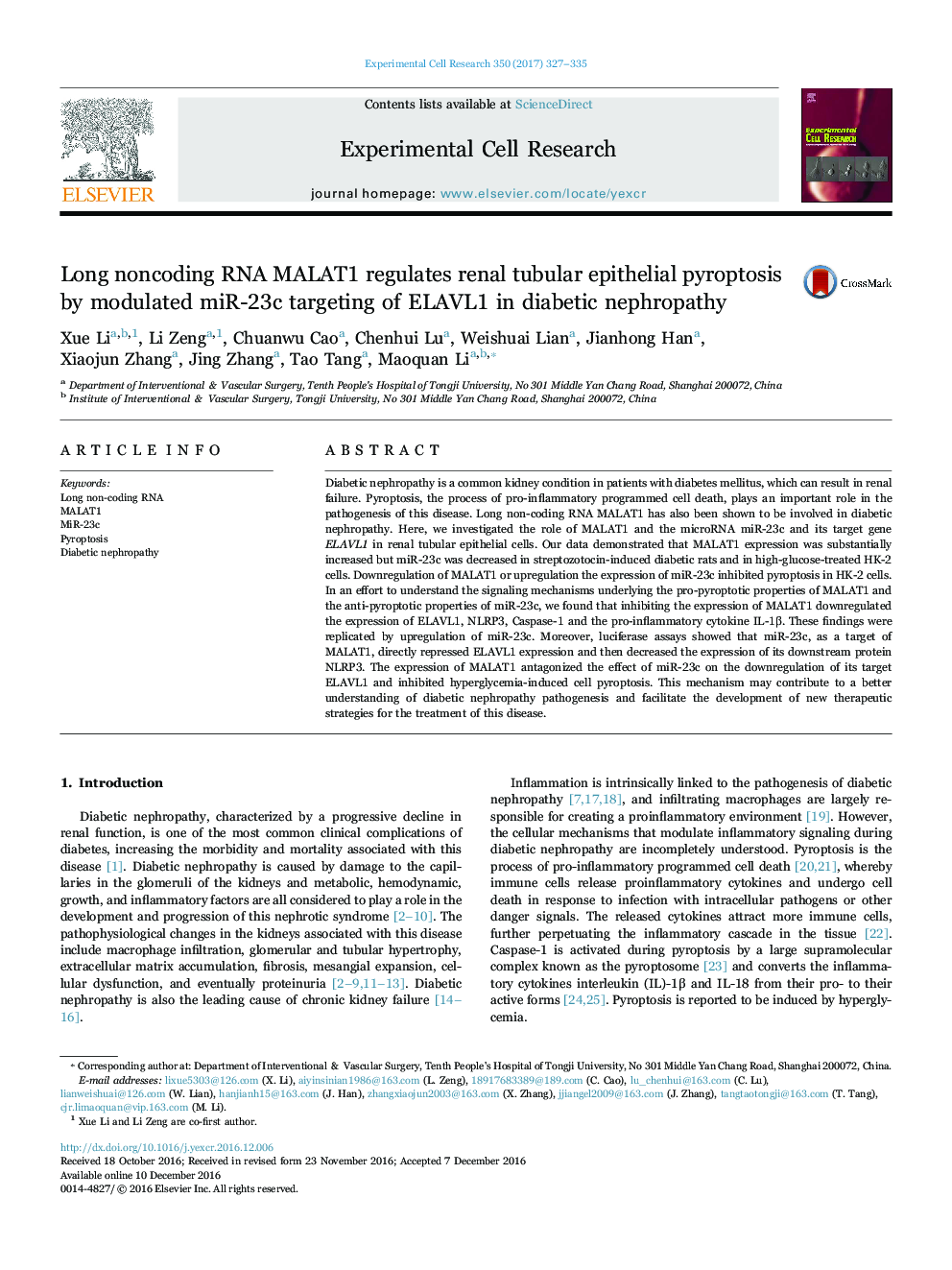 Long noncoding RNA MALAT1 regulates renal tubular epithelial pyroptosis by modulated miR-23c targeting of ELAVL1 in diabetic nephropathy