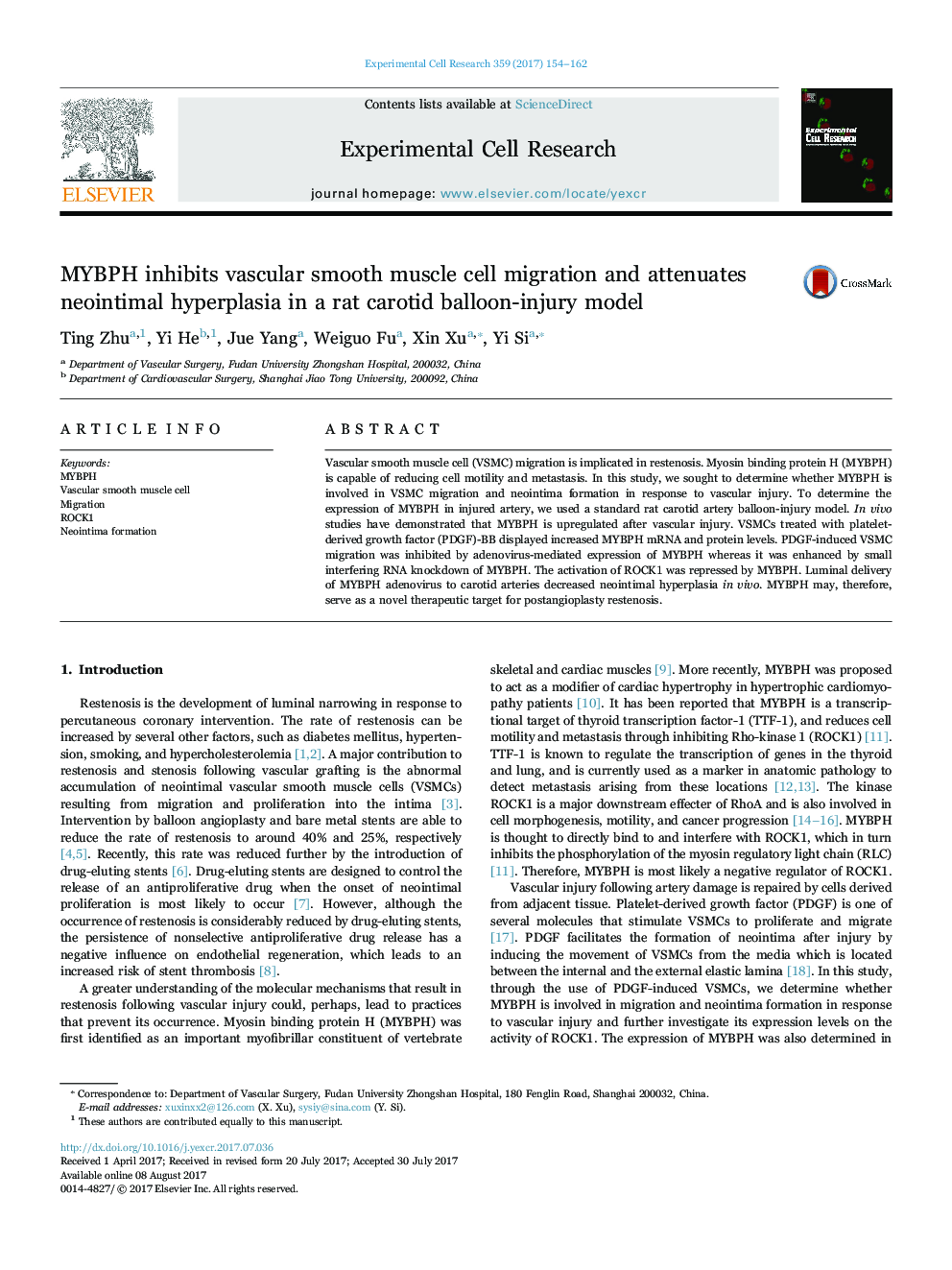 MYBPH inhibits vascular smooth muscle cell migration and attenuates neointimal hyperplasia in a rat carotid balloon-injury model