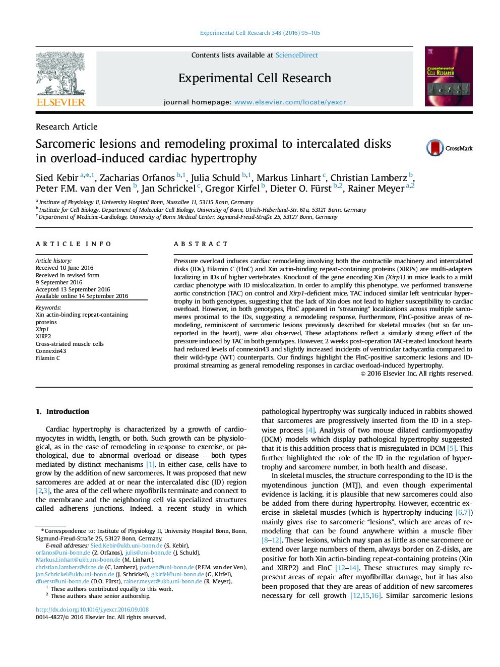 Research ArticleSarcomeric lesions and remodeling proximal to intercalated disks in overload-induced cardiac hypertrophy