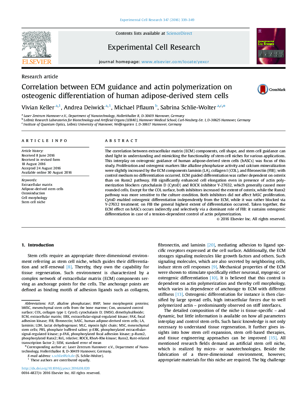Research articleCorrelation between ECM guidance and actin polymerization on osteogenic differentiation of human adipose-derived stem cells