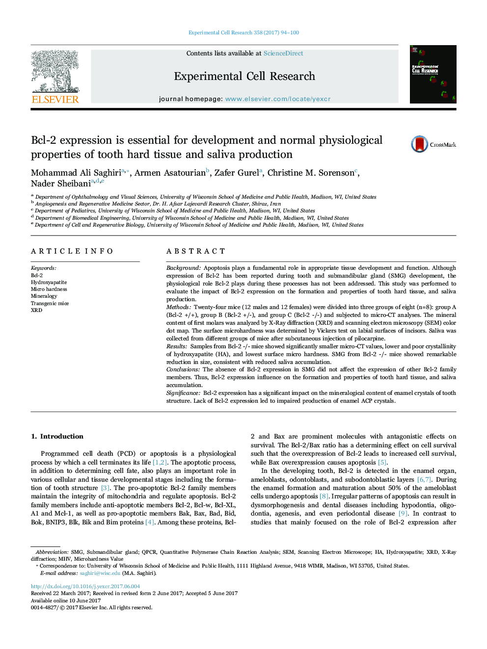 Bcl-2 expression is essential for development and normal physiological properties of tooth hard tissue and saliva production