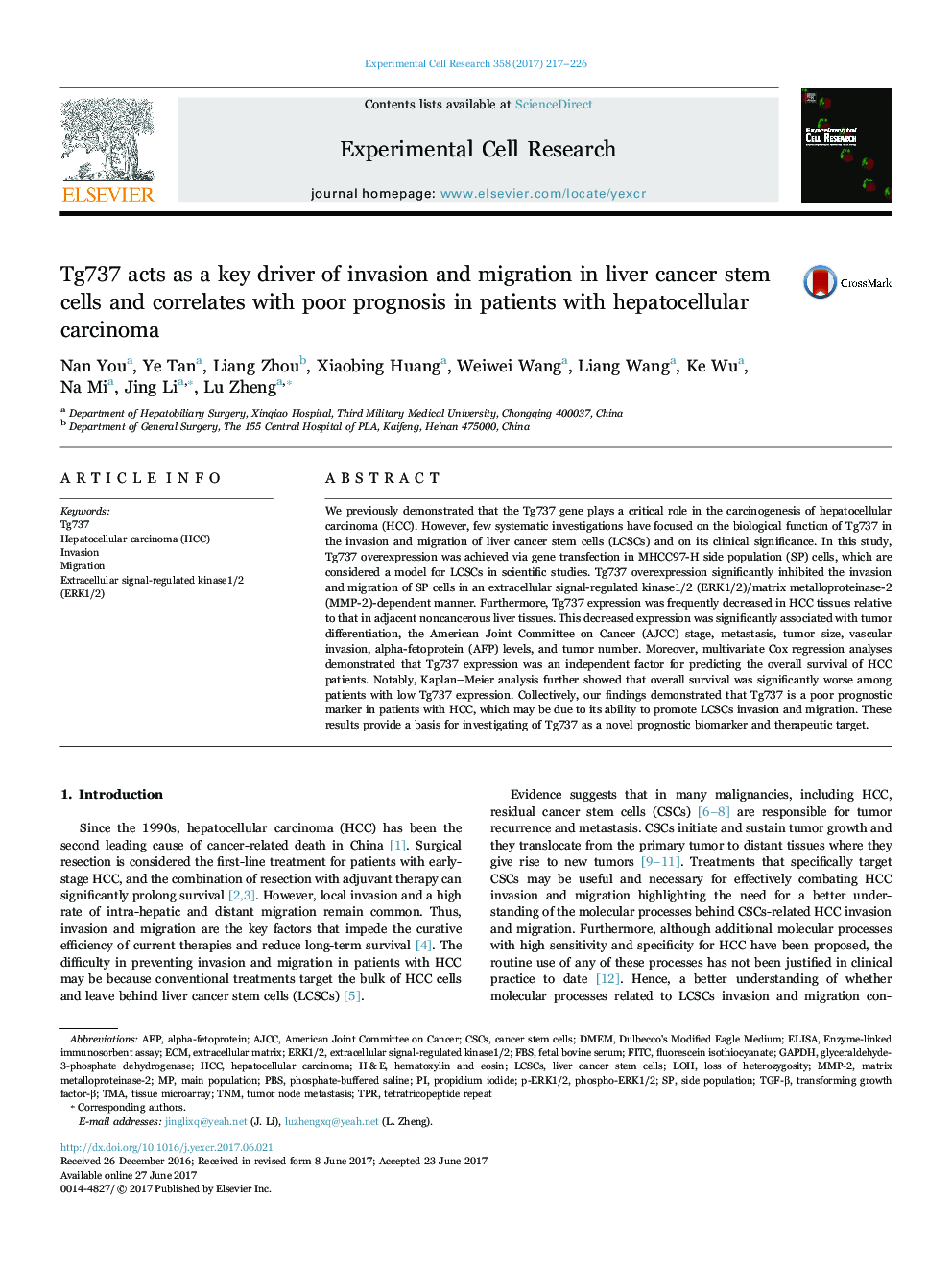 Tg737 acts as a key driver of invasion and migration in liver cancer stem cells and correlates with poor prognosis in patients with hepatocellular carcinoma