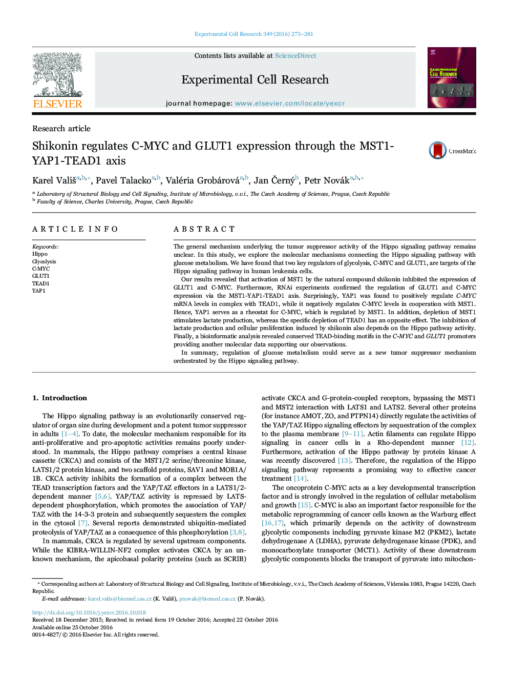 Research articleShikonin regulates C-MYC and GLUT1 expression through the MST1-YAP1-TEAD1 axis