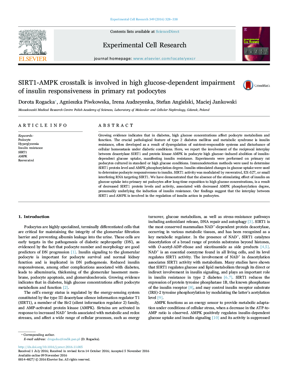 SIRT1-AMPK crosstalk is involved in high glucose-dependent impairment of insulin responsiveness in primary rat podocytes