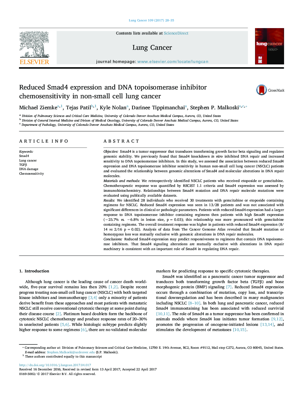 Reduced Smad4 expression and DNA topoisomerase inhibitor chemosensitivity in non-small cell lung cancer