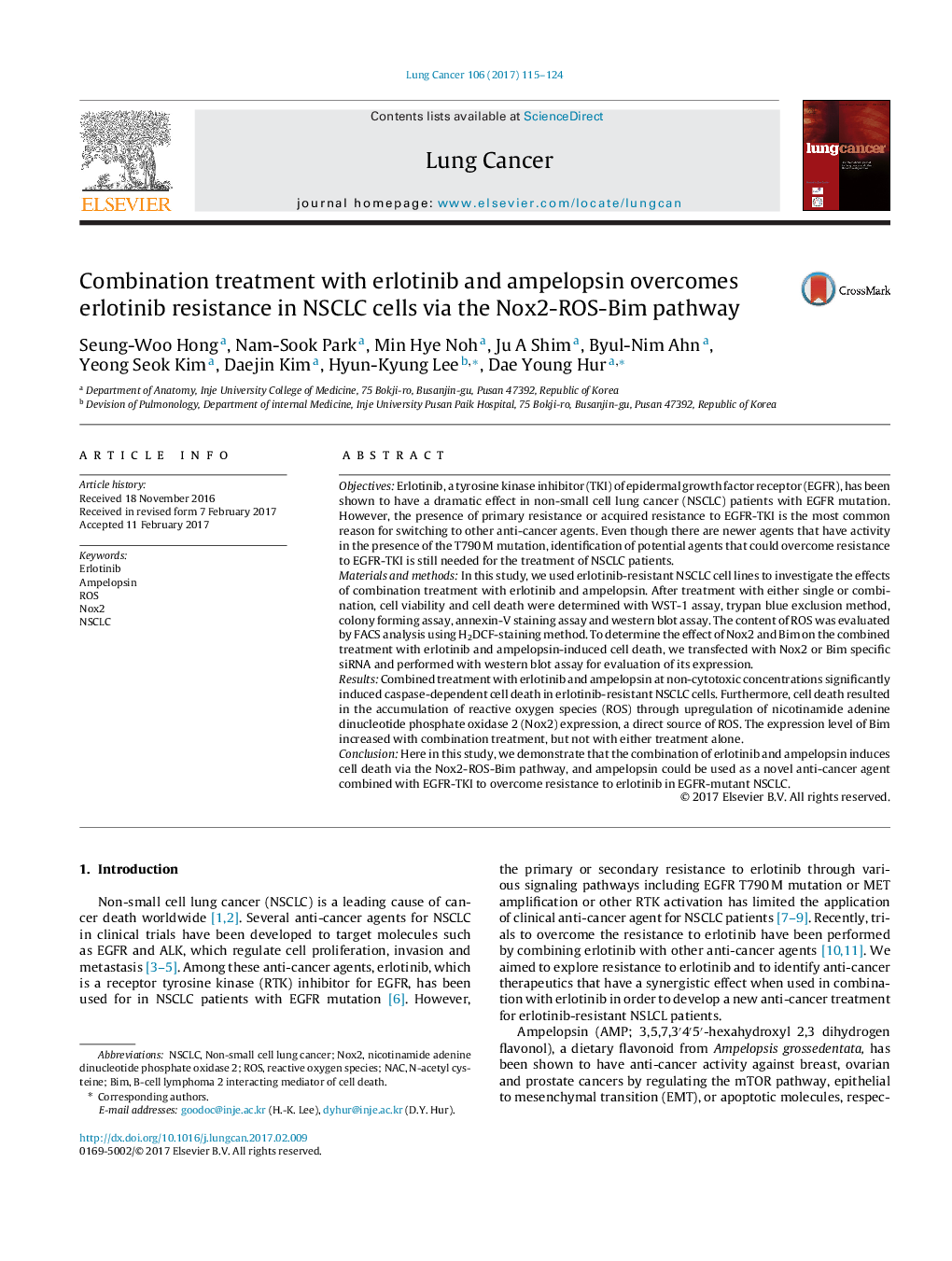 Combination treatment with erlotinib and ampelopsin overcomes erlotinib resistance in NSCLC cells via the Nox2-ROS-Bim pathway