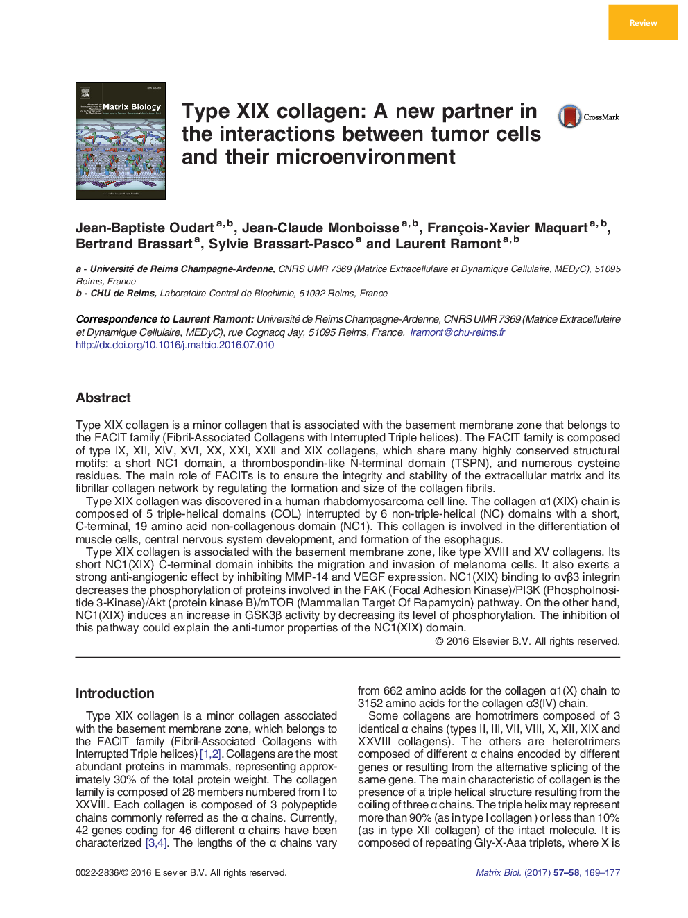 ReviewType XIX collagen: A new partner in the interactions between tumor cells and their microenvironment