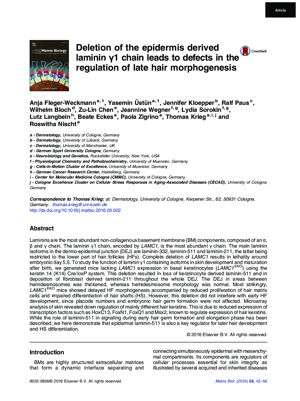 Deletion of the epidermis derived laminin Î³1 chain leads to defects in the regulation of late hair morphogenesis